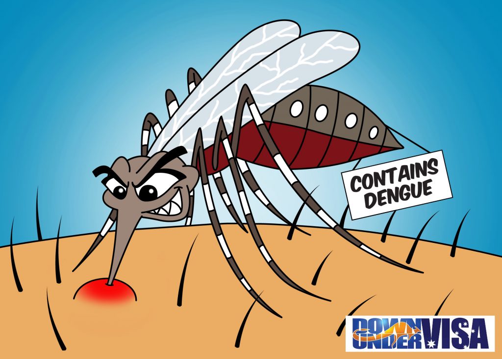 Dengue Fever in Philippines – Awareness for Australians